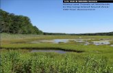 Status and Trends of Wetlands in the Long Island Sound ...