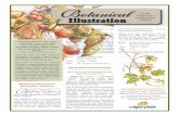 Botanical - WordPress.com