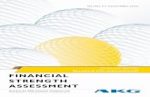 AKG Financial Strength Assessment Report