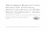 Mississippian Rugose Corals, Peratrovich Formation,