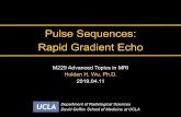 Pulse Sequences: Rapid Gradient Echo