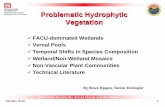 Problematic Hydrophytic Vegetation