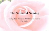 The Nature of Naming - Texas Master Naturalist