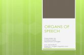 ORGANS OF SPEECH - mmcmodinagar.ac.in