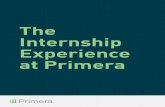 The Internship Experience at Primera