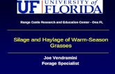 Silage and Haylage of Warm-Season Grasses