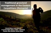 Traditional grassland management in the Eastern ...