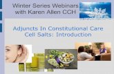 Winter Series Webinars with Karen Allen CCH