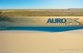 Aurox Resources Annual Report 2006