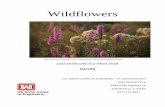 Wildflowers - United States Army