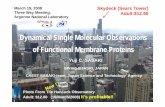 Dyygnamical Single Molecular Observations of Functional ...