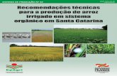 Recomendações técnicas para a produção de arroz irrigado ...