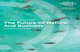 New Nature Economy Report II The Future Of Nature And …