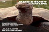 Odu Study Guide OwonrinObara - ORISA LIFESTYLE