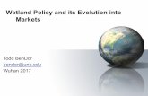Wetland Policy and its Evolution into Markets