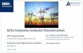 Al/Ca Composite Conductor Characterization