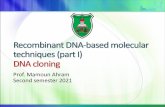 Recombinant DNA -based molecular techniques (part I) DNA ...