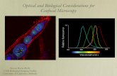 Optical and Biological Considerations for Confocal Microscopy