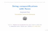 String compactiﬁcations with ﬂuxes