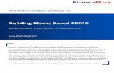 Building Blocks Based CDMO - PharmaBlock