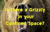 Is there a Grizzly in your Confined Space?