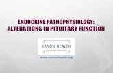 ENDOCRINE PATHOPHYSIOLOGY: ALTERATIONS IN …