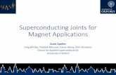 Superconducting Joints for Magnet Applications