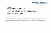 ELISA® Kit (IgG) Rat SimpleStep Immunoglobulin G ab189578