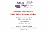 Efficient Incremental High Utility Itemset Mining