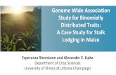 Genome Wide Association Study for Binomially Distributed ...