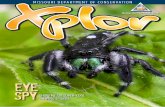 EYE SPY JUMPING SPIDERS SHOW ME SIX SUPER-COOL