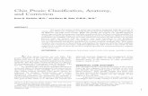 Chin Ptosis: Classiﬁcation, Anatomy, and Correction