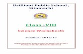 BRILLIANT PUBLIC SCHOOL, SITAMARHI Class VIII – SOCIAL ...
