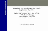 Oncology Nursing Brown Bag Lunch September 9, 2014 Deborah ...
