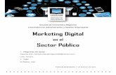 Marketing digital en el sector p blico.