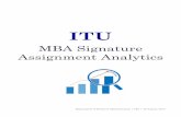 MBA Signature Assignment Analytics