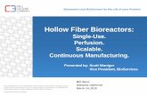 Hollow Fiber Bioreactors