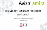 SFU Viz-day: 3D Image Processing Workbench