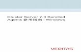Cluster Server 7.3 Bundled Agents 参考指南 - Windows