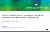 Patient involvement in medicines evaluation within the ...
