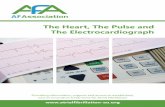 AFA Australian The Heart The Pulse and The ECG Booklet ...
