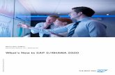 What's New in SAP S/4HANA 2020