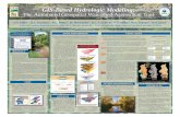GIS-Based Hydrologic Modeling