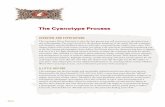 The Cyanotype Process - ChristopherJames-Studio.com
