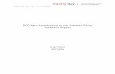 GCC Agro-Investments in sub-Saharan Africa Synthesis Report