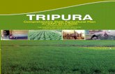 TRIPURA (C-SAP) 2015-2020 COMPREHENSIVE STATE …