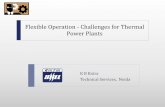 Flexible Operation - Challenges for Thermal Power Plants