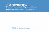 TURMERIC - Food and Agriculture Organization