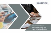 Intercompany for SAP Business One