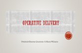 Operative DELIVERY - WISDOM